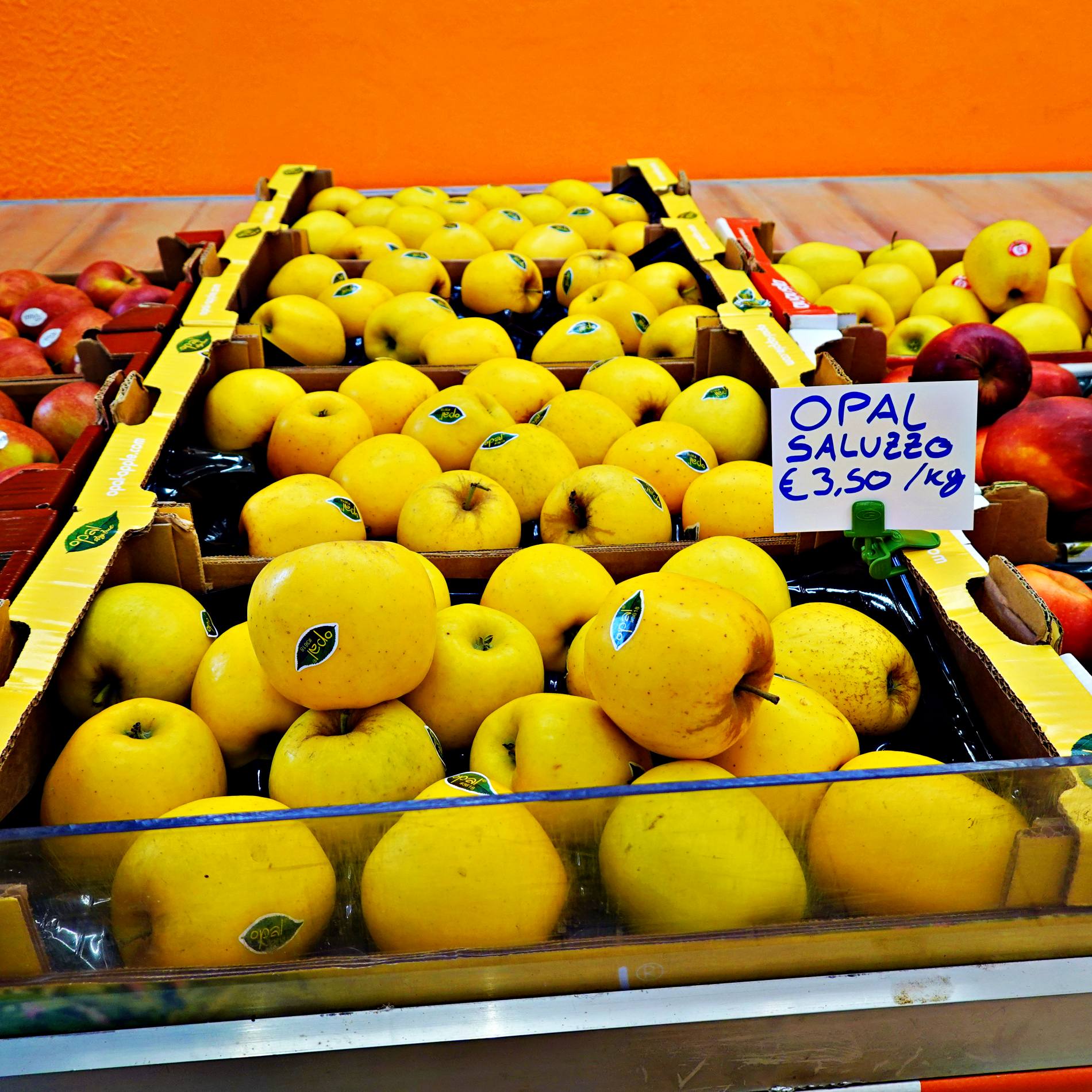 etichette segnaprezzo per pinze portaprezo